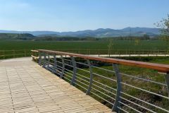 Paseo_Arga_Ibero_Mapetite_Pamplona_28