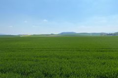 Paseo_Arga_Ibero_Mapetite_Pamplona_30