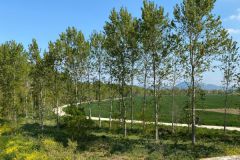 Paseo_Arga_Ibero_Mapetite_Pamplona_35