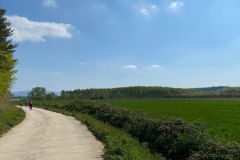 Paseo_Arga_Ibero_Mapetite_Pamplona_38