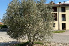 Paseo_Arga_Ibero_Mapetite_Pamplona_42