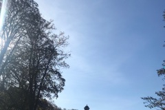Paseo_Arga_Portal-de-Francia_Mapetite_Pamplona_7