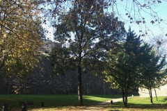 Paseo_Arga_Portal-de-Francia_Mapetite_Pamplona_9