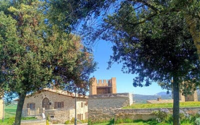 Artaxo Musujan: la excusa perfecta para escaparte a Artajona